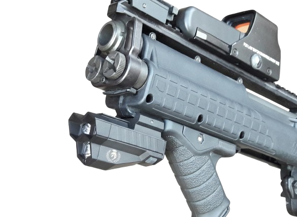 Fulgoris mounted view